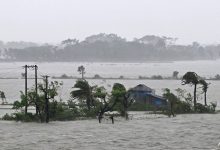 climate change shrimp farming