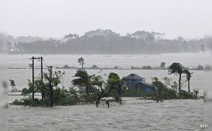 climate change shrimp farming