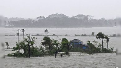 climate change shrimp farming