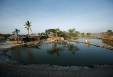 winter aquaculture ponds