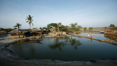 winter aquaculture ponds