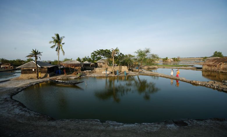 winter aquaculture ponds