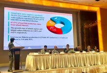 national workshop aquaculture network of Bangladesh