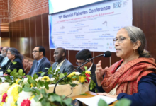 BFRF dhaka university