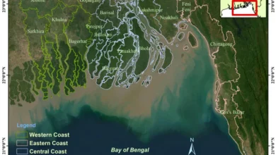 Coastal zone of Bangaldesh