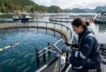 Artificial intelligence in sustainable aquaculture