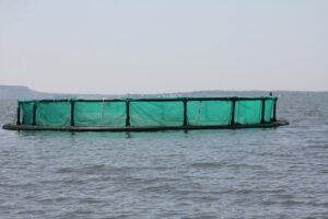 climate smart aquaculture