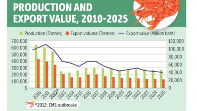 thai shrimp export and production