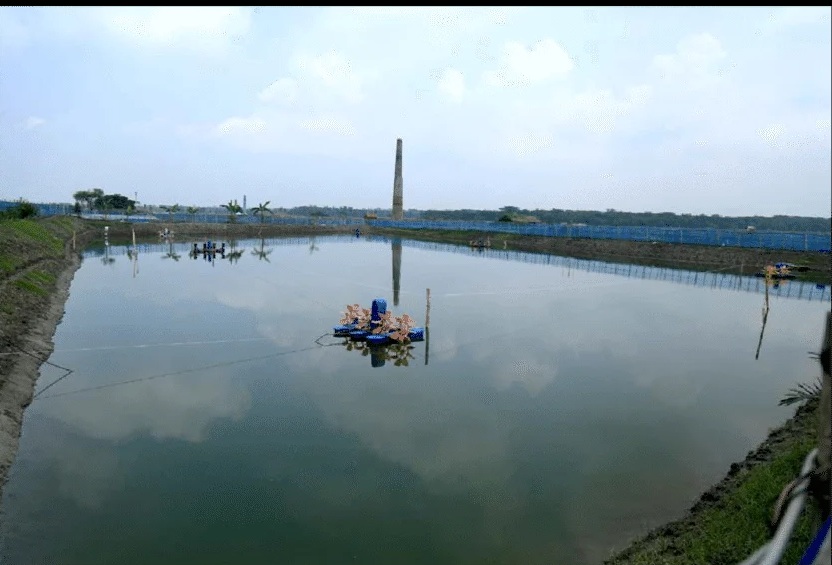 semi-intensive shrimp farm in khulna