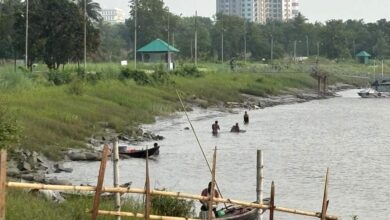 wild fry / PL collection from bhairob river khulna